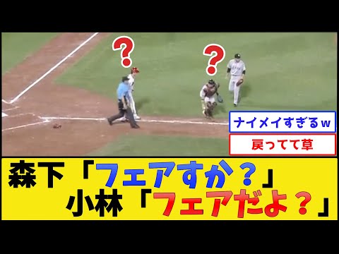 カープ森下、絶妙すぎるバントを決めた結果www【広島東洋カープ】【プロ野球なんJ 2ch プロ野球反応集】