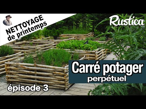 Carrés potager perpétuels au printemps -3- des oiseaux et plantes utiles ... et d'autres moins