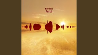 Aerial (2018 Remaster)