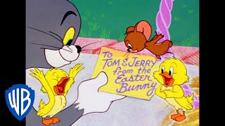 Tom & Jerry - Velikonoční zajíc