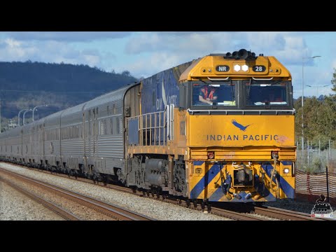 Trainspotting at NEW Cale St Crossing | 13th July 2024