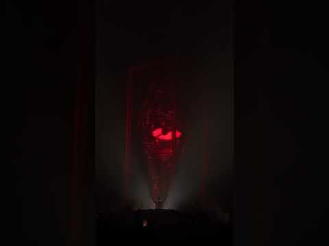 Maddix closing out the night at Sziget!