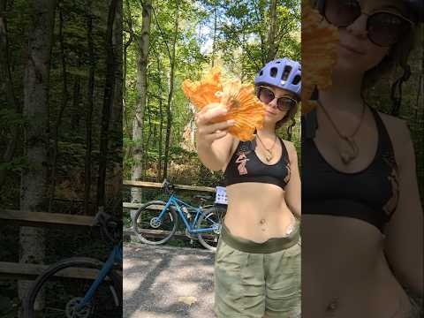 have a good weekend 😘🍄✨ #mycology #mushroom #nature #vanlife #camping