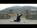 Wudang Five Animals Qi Gong ()