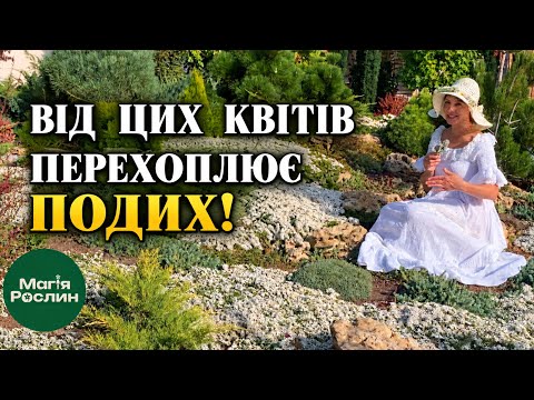 Чому я обрала ці багаторічники? Секрети догляду та цвітіння восени