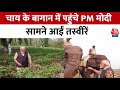 PM Modi Assam Visit: असम में पीएम ने जंगल सफारी की तो वहीं चाय के बागान में भी पहुंचे | Aaj Tak