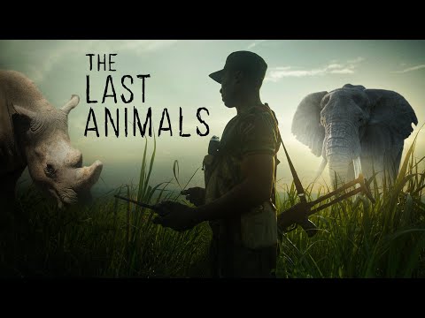 The Last Animals'