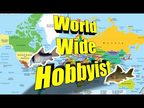Northern and Southern Hemispheric Fish Keeping Hob Northern and Southern Hemispheric Fish Keeping Hobby Differences With Aqua Mate

In this video I div