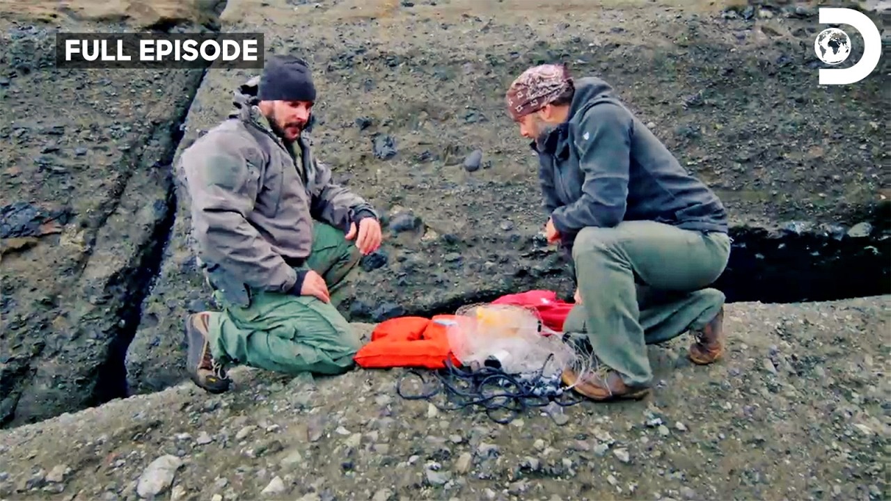 Can Matt And Joe Survive These Deadly Environments?|Dual Survival S5 E7,8,9|Discovery Channel India