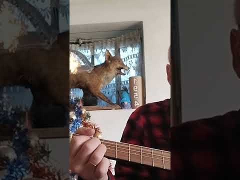 Cover di José Feliciano. Feliz Navidad.