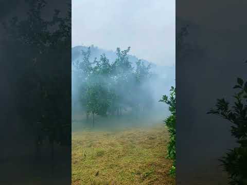 Đồ chơi mới . Ruồi vàng chạy đâu cho khỏi nắng #xuhuongyoutube #bophoveque #camping #nongnghiep