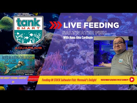 Live Feeding Saltwater Fish W/ Aqua Alex Dive into the Splash Zone with Tank Smart's Live Fish Feeding!
Join us for an aquatic adventure as A