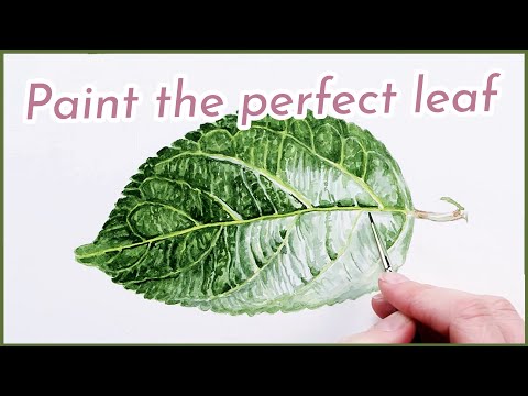 How to paint realistic luscious leaves in watercolour with Anna Mason