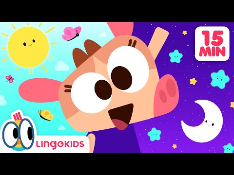 HELLO SONG 🙋🎶 + More Songs for Kids | Lingokids