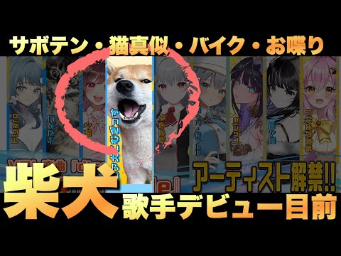 柴犬こむぎっすの歌手デビューと魅力的な日常紹介 サムネイル