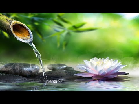 Bamboo Water Fountain & Relaxing Healing 24/7 自然の音とともに音楽をリラックス バンブーウォーターファウンテン 【癒し音楽BGM】