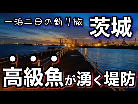 【茨城釣り】高級魚が湧くスポット!釣って食べる至福の釣り旅🎣居酒屋6品!2025.10