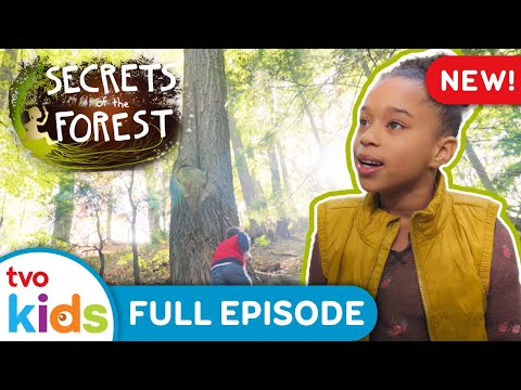 Forest Mother 🌳💞 SECRETS OF THE FOREST - Season 1 Full Episode | TVOkids