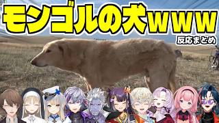 【まとめ】SNSで大バズリした『モンゴルの犬』が気になるライバーたちw【ろふまお/ROF-MAO/にじさんじ/切り抜き】