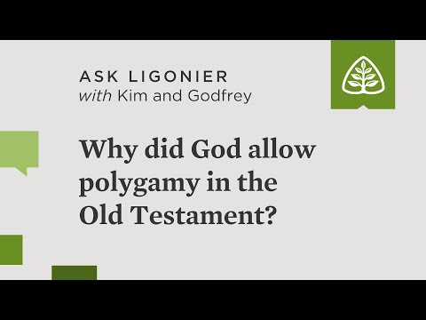Why did God allow polygamy in the Old Testament?