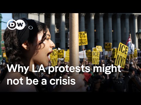 Hodges: LA crackdown 'a manufactured crisis' | DW News
