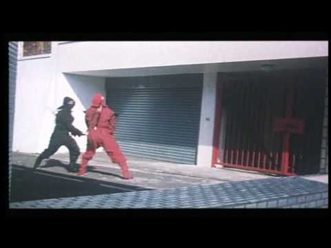 Golden Ninja Warrior'