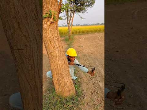 garib bachy ny rabbit ko bacha Lia #shortvideos #viralvideos #ytshorts