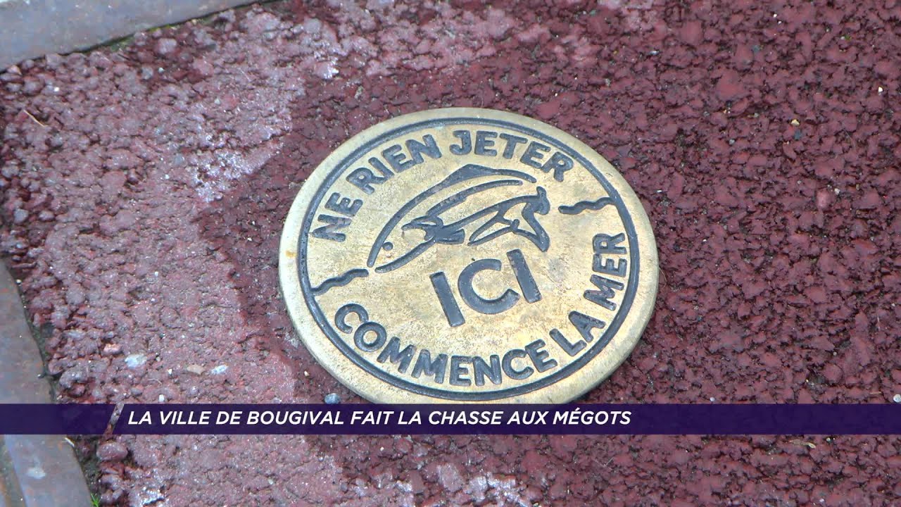 Yvelines | La ville de Bougival fait la chasse aux mégots
