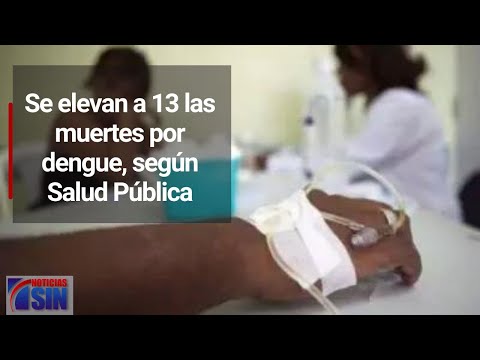 Se elevan a 13 las muertes por dengue, según Salud Pública