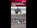Gujarat Bridge Collapse | 9 Killed After Vehicles Fall Into River As Bridge Collapses In Gujarat