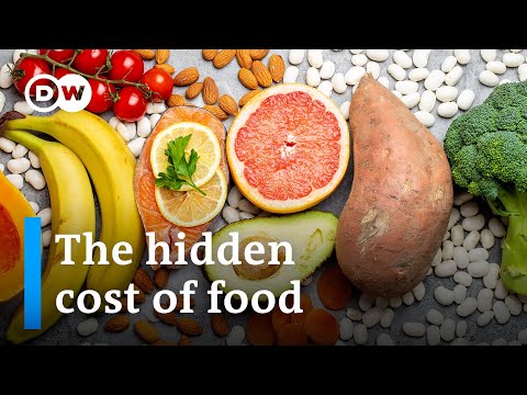 Is our food costing us more than we pay? | DW Business