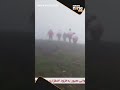RAISI HELICOPTER RESCUE | Foggy conditions hamper rescue efforts at Iran helicopter crash site  - 00:37 min - News - Video