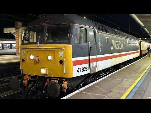 Locomotive services 47828 powers out of Ipswich working 1Z47 8/5/24