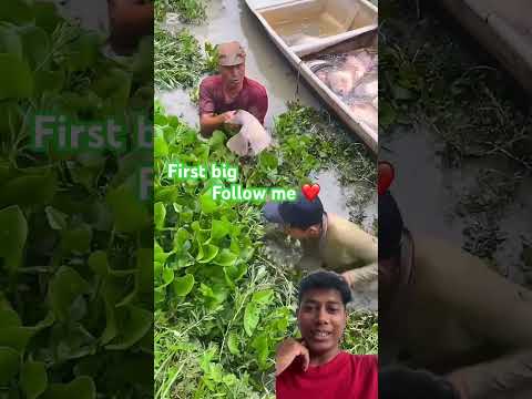 #fishing #helpmemakethismakesense #fish #food #carpfishing #carp