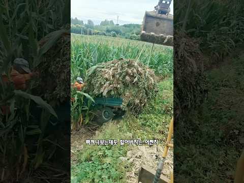 <strong>무료로</strong> 차를 꺼내 준 기사님 덕분에 활짝 웃은 할아버지