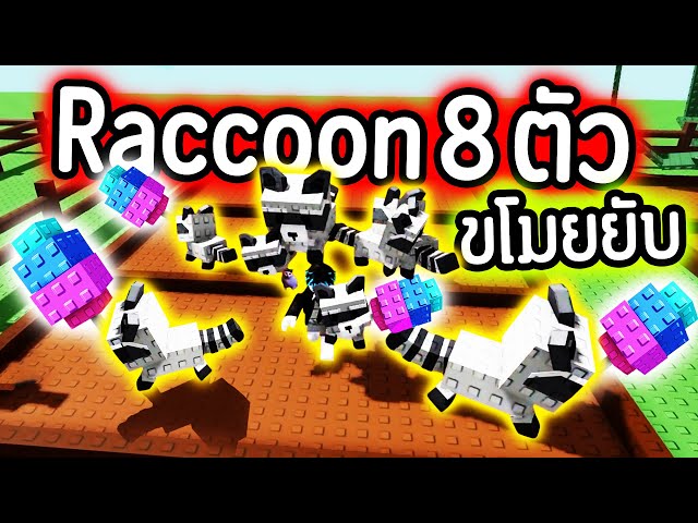 Raccoon 8 ตัว อัพเกรดสวนขั้นสุด !!! ขโมย Candy Blossom ยับ !!! | Roblox Grow a Garden