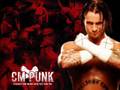 Y2J and CM Punk Theme Song