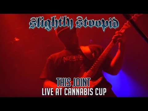 This Joint @ Cannabis Cup 2009 Amsterdam, NL