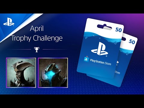 Die Trophy Challenge geht in die nächste Runde!