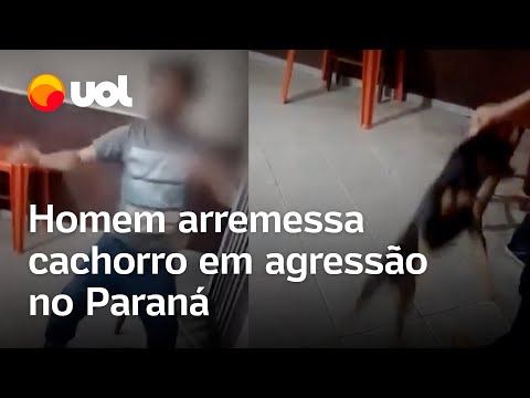 Homem arremessa cachorro durante agressão em Ivaiporã (PR); veja vídeo