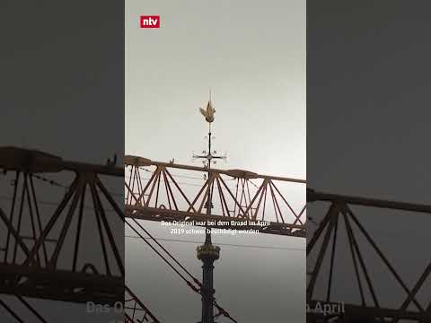 Notre-Dame in Paris: Neue Turmspitze nach Brand enthüllt | #ntv #shorts #paris #notredame