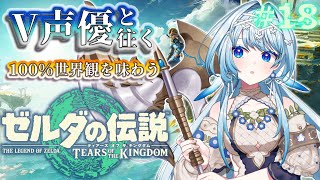 【ゼルダの伝説 TotK】V声優がフルボイスで初見プレイ🔰龍の泪💧を求めて、神龍巡礼の旅🐉【白鳥怜奈/Vtuber/声優】#ゼルダの伝説 #