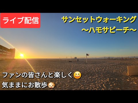 【ライブ配信】サンセットウォーキング〜ハモサビーチ〜ファンの皆さんと楽しく😆気ままにお散歩🐶Shinsuke Handyman がライブ配信中！