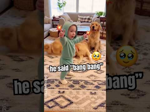Cutest Baby and Dog Trio Ever!