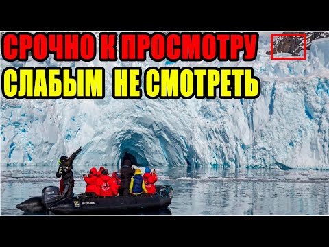 
100 лет спустя ВЫЯСНИЛОСЬ   Сенсационные находки в Арктике  Исследователи не поверили глазам!