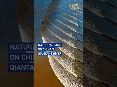Nature's piano on China's Qiantang River #coolchina
