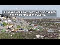 New Enzyme Could Help Break Down Plastic