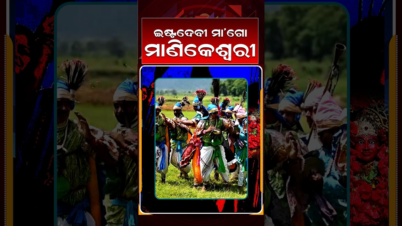 ଇଷ୍ଟଦେବୀ ମା' ଗୋ ମାଣିକେଶ୍ବରୀ | Nuakhai 2026 | Nuakhai Juhar | Tihar Bela | Argus News