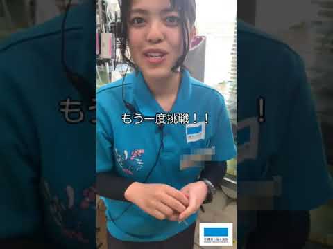 猫の動画サムネイル - 見てびっくり！魚のかしこさ