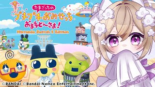 たまごっちのプチプチおみせっち おまちど～さま！【 Vtuber / 熊倉ゆち 】